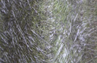 Crambeck fibreglass roof work